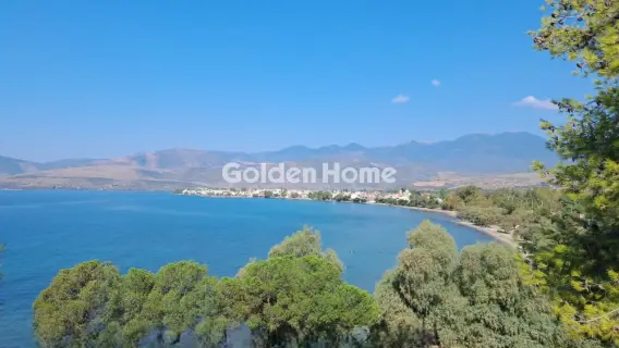 Αγροτεμάχιο 8672τ.μ. προς πώληση φωτογραφία 2