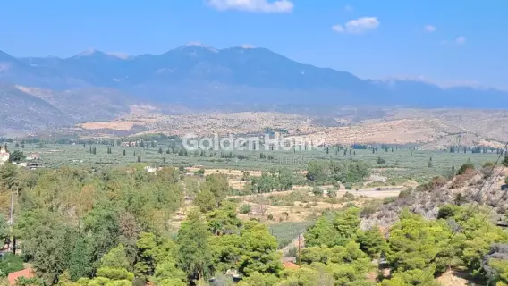 Αγροτεμάχιο 8672τ.μ. προς πώληση φωτογραφία 5610154