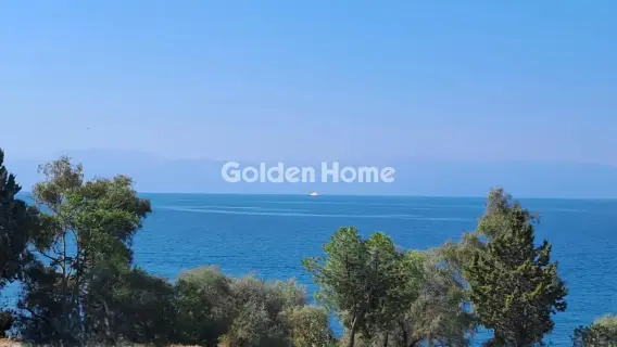 Αγροτεμάχιο 8672τ.μ. προς πώληση φωτογραφία 5610158