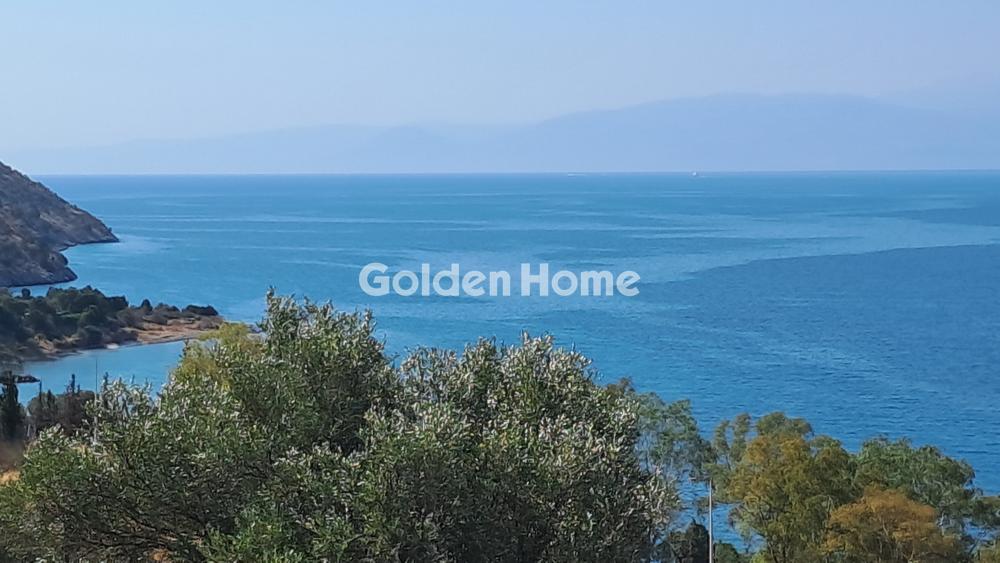 Αγροτεμάχιο 8672τ.μ. προς πώληση φωτογραφία προβολής