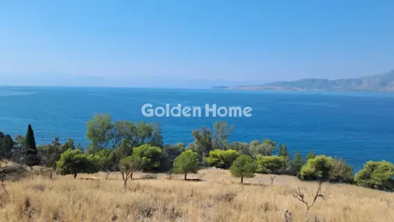 Αγροτεμάχιο 8672τ.μ. προς πώληση φωτογραφία 5610160