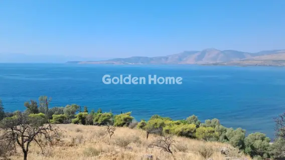 Αγροτεμάχιο 8672τ.μ. προς πώληση φωτογραφία 5610161
