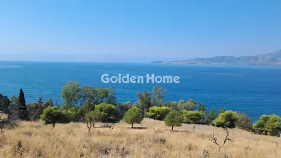 Αγροτεμάχιο 8672τ.μ. προς πώληση φωτογραφία 5610163