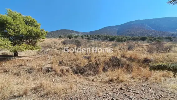 Αγροτεμάχιο 8672τ.μ. προς πώληση φωτογραφία 5610166
