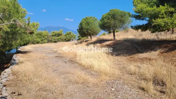 Αγροτεμάχιο 8672τ.μ. προς πώληση φωτογραφία 5610162