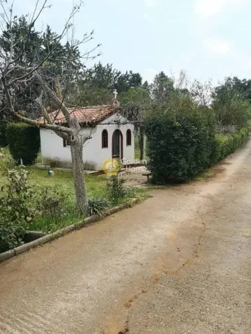 复式公寓 297m<sup>2</sup> for sale photo 24