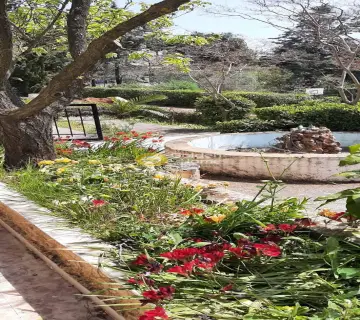 Golden Home Property Image