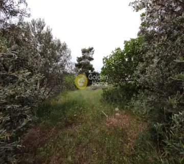 Οικιστικό 413τ.μ. προς πώληση φωτογραφία 1