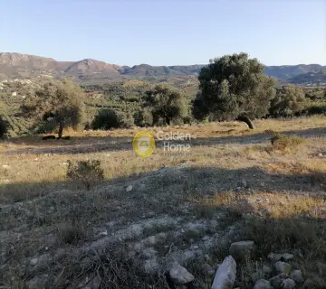 Parcel 5329m<sup>2</sup> for sale photo 2574154