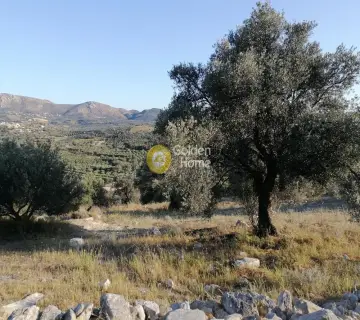 Parcel 5329m<sup>2</sup> for sale photo 2574158