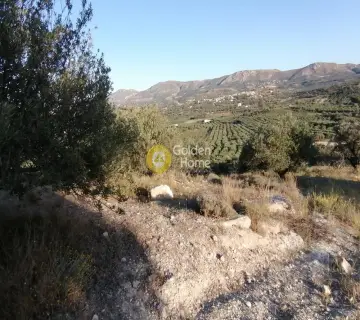 Parcel 5329m<sup>2</sup> for sale photo 2574161
