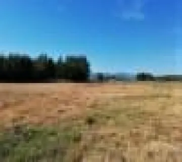 Parcel 10921m<sup>2</sup> for sale photo 2943577