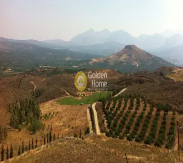 Golden Home Property Image