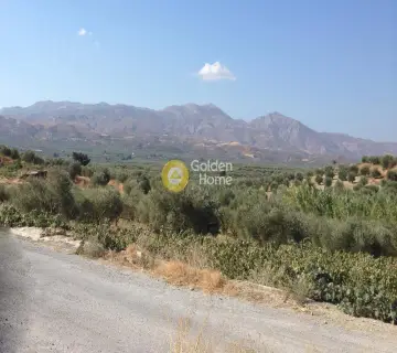 Επαγγελ. Οικόπεδο 403200τ.μ. προς πώληση φωτογραφία 3