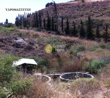 Επαγγελ. Οικόπεδο 403200τ.μ. προς πώληση φωτογραφία 4