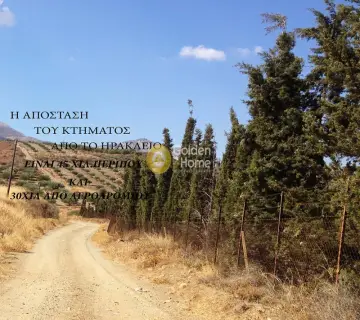 Επαγγελ. Οικόπεδο 403200τ.μ. προς πώληση φωτογραφία 6