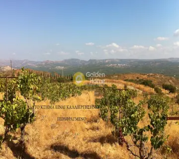 Επαγγελ. Οικόπεδο 403200τ.μ. προς πώληση φωτογραφία 11