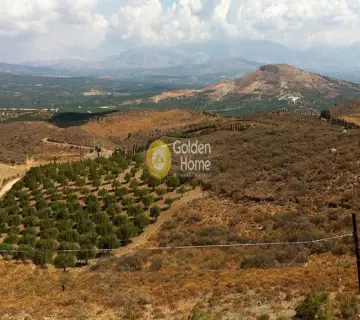 Επαγγελ. Οικόπεδο 403200τ.μ. προς πώληση φωτογραφία 10