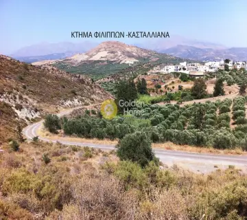 Επαγγελ. Οικόπεδο 403200τ.μ. προς πώληση φωτογραφία 7