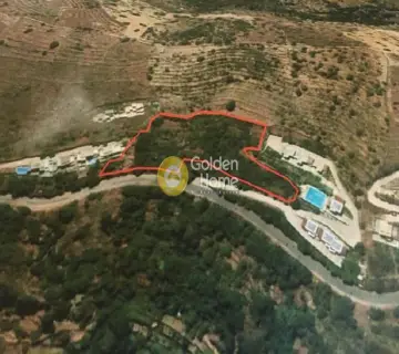 Residential 6500m<sup>2</sup> for sale photo 2