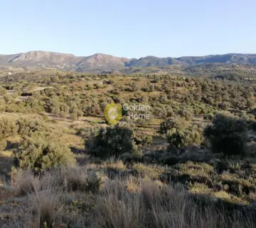 Golden Home Property Image