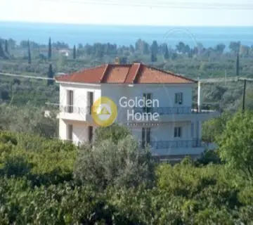 Golden Home Property Image