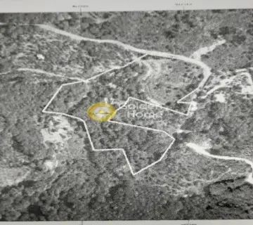 Professional Plot 18000m<sup>2</sup> for sale photo 3