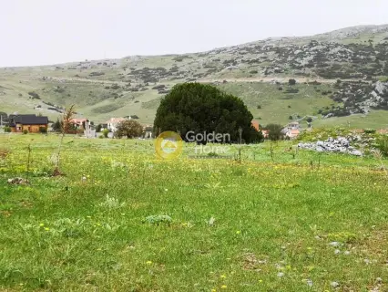 Parcel 52000m<sup>2</sup> for sale photo 4