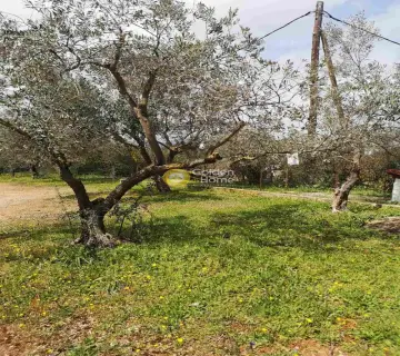 独立建筑 605m<sup>2</sup> for sale photo 15