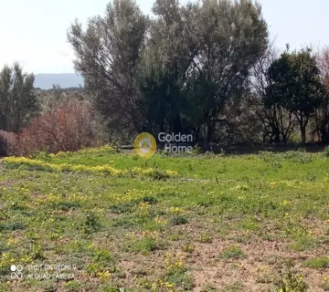 Parcel 3000m<sup>2</sup> for sale photo 4