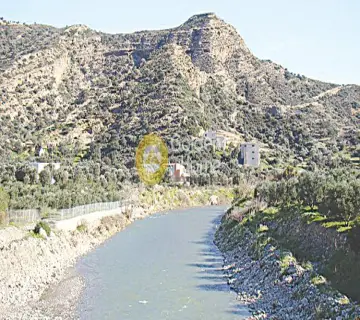 Parcel 80000m<sup>2</sup> for sale photo 13