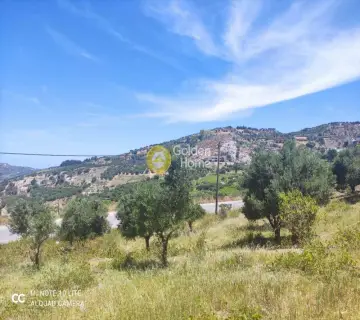 Οικιστικό 1000τ.μ. προς πώληση φωτογραφία 7