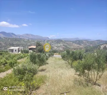 Οικιστικό 1000τ.μ. προς πώληση φωτογραφία 8
