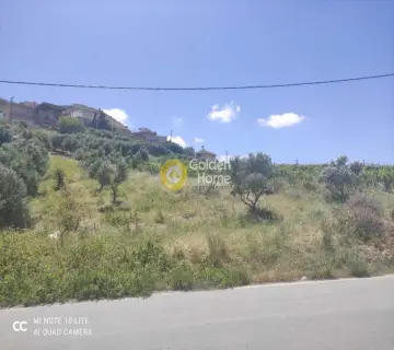 Οικιστικό 1000τ.μ. προς πώληση φωτογραφία 11