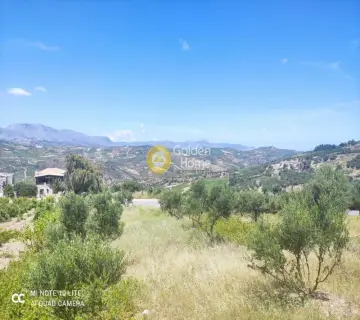 Οικιστικό 1000τ.μ. προς πώληση φωτογραφία 10