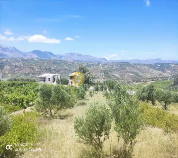 Οικιστικό 1000τ.μ. προς πώληση φωτογραφία 12