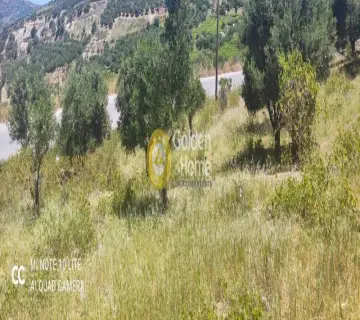 Οικιστικό 1000τ.μ. προς πώληση φωτογραφία 6