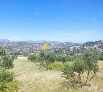 Οικιστικό 1000τ.μ. προς πώληση φωτογραφία 1