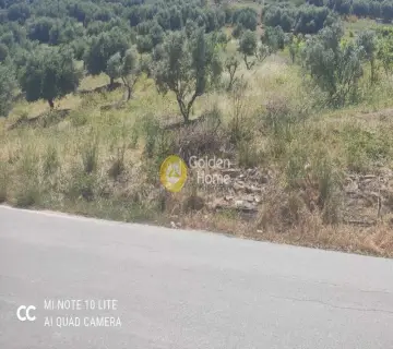 Οικιστικό 1000τ.μ. προς πώληση φωτογραφία 5