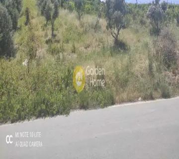 Οικιστικό 1000τ.μ. προς πώληση φωτογραφία 4