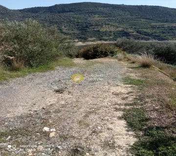 Parcel 13141m<sup>2</sup> for sale photo 3