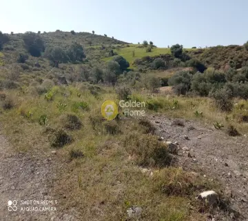 Residential 10050m<sup>2</sup> for sale photo 9