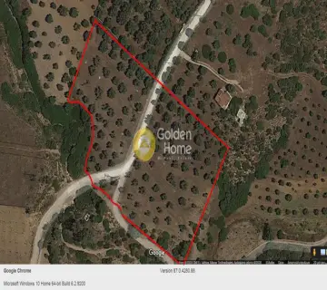 Parcel 8000m<sup>2</sup> for sale photo 1