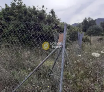 Professional Plot 360m<sup>2</sup> for sale photo 2587964