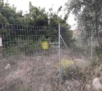 Professional Plot 360m<sup>2</sup> for sale photo 2587965