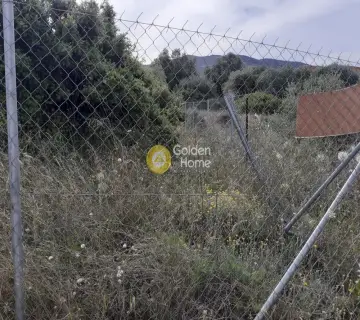 Professional Plot 360m<sup>2</sup> for sale photo 2587967