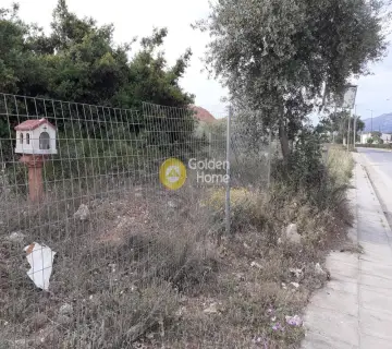 Professional Plot 360m<sup>2</sup> for sale photo 2587963