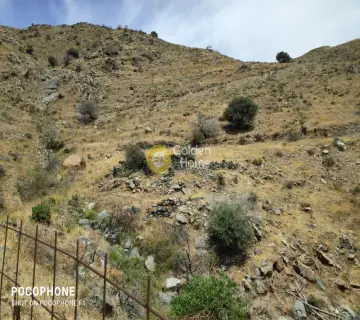 Residential 4000m<sup>2</sup> for sale photo 10