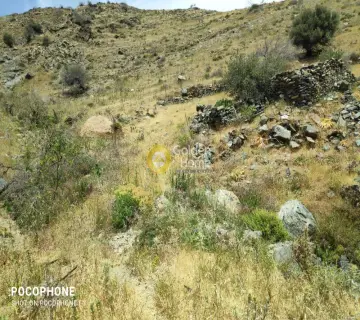 Residential 4000m<sup>2</sup> for sale photo 17