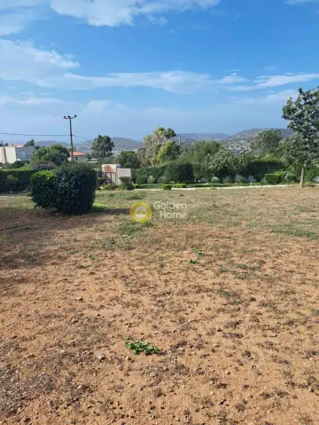 Μονοκατοικία 185τ.μ. προς ενοικίαση φωτογραφία 13